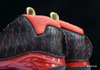 318474-061 'Finale'  23 Premier Jordan 0707